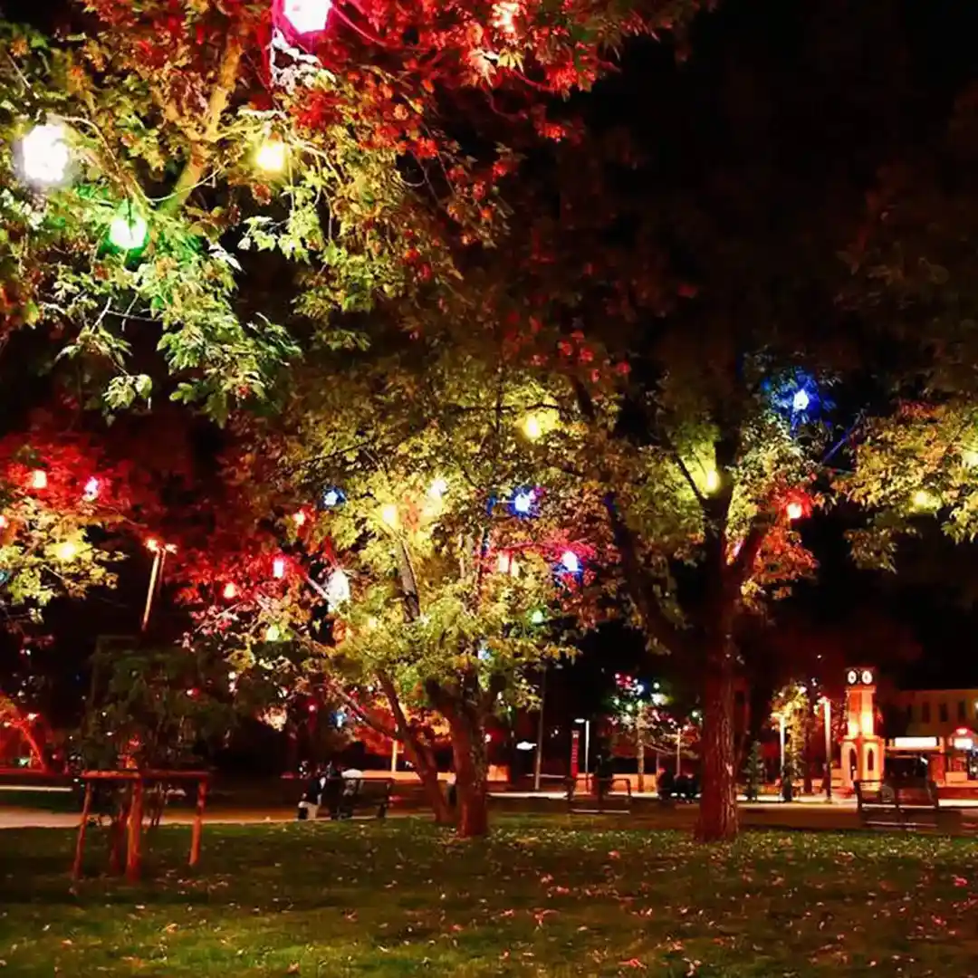 30 Adet Ağaç Feneri