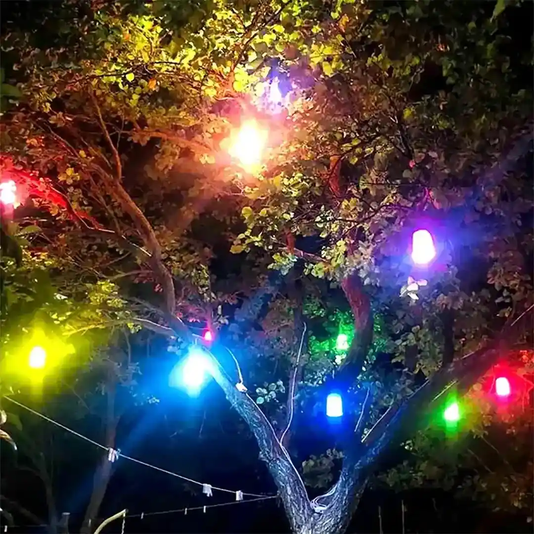 40 Adet Ağaç Feneri