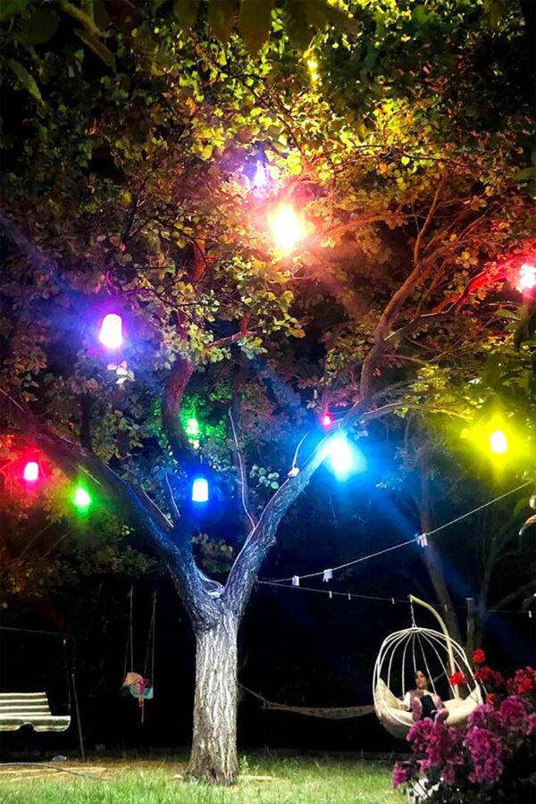 Ağaç Feneri